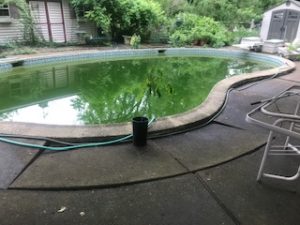 Ondish Pool Before